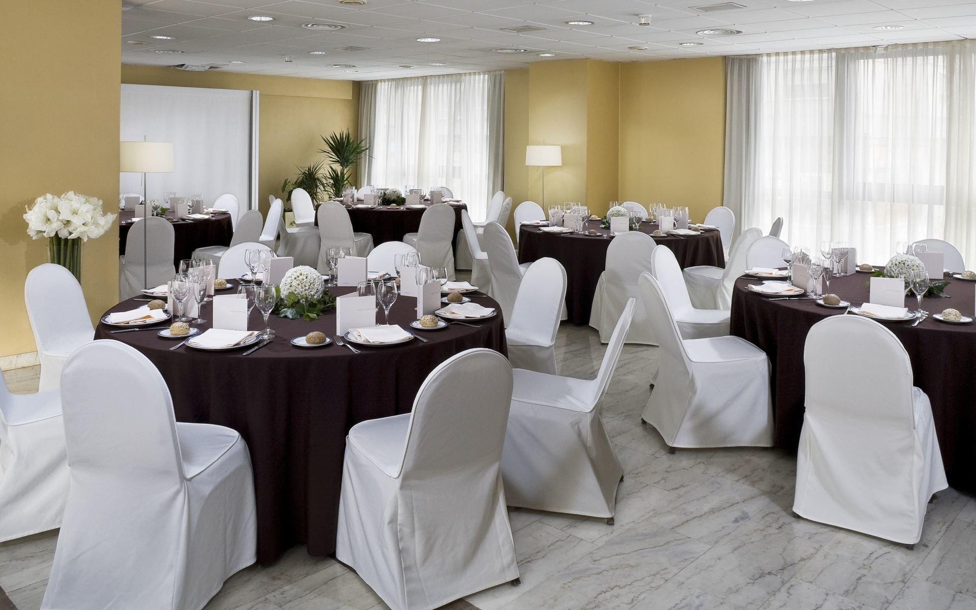 Hesperia 4*