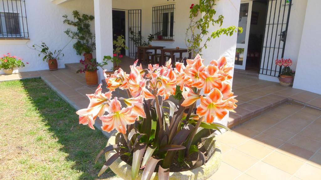 Casa Fina - Adults Recommended Hotel
