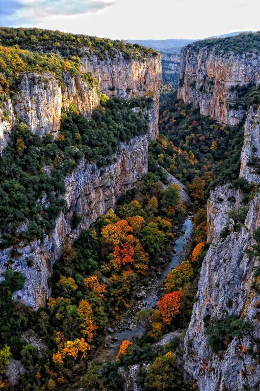 Rural Besaro - Selva De Irati