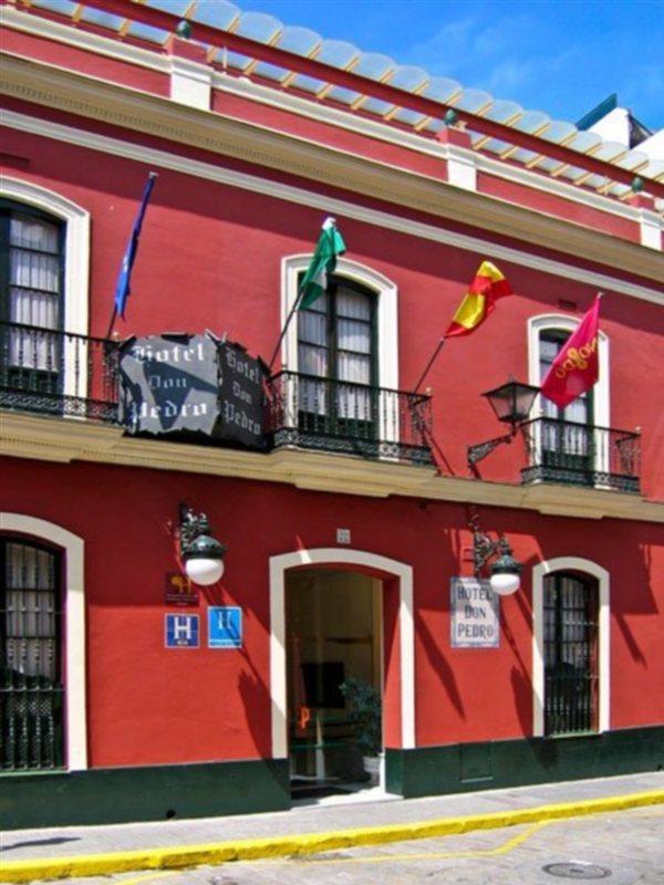 Casa Palacio Don Pedro *