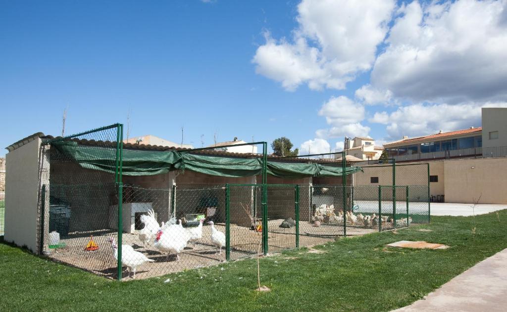 Monrural 4*