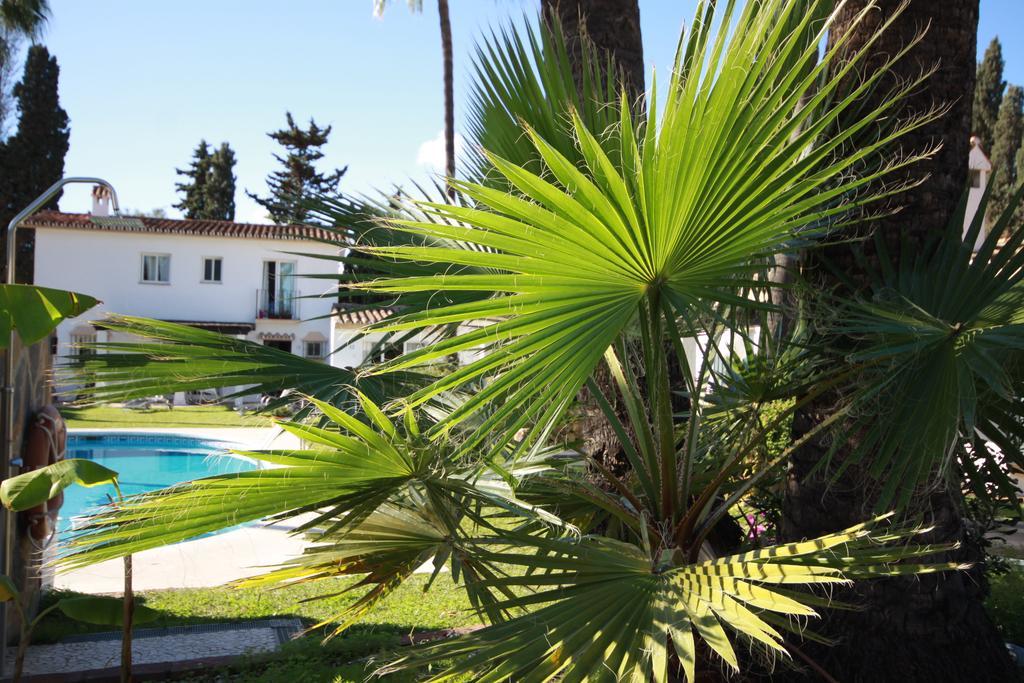 Banus Marbella