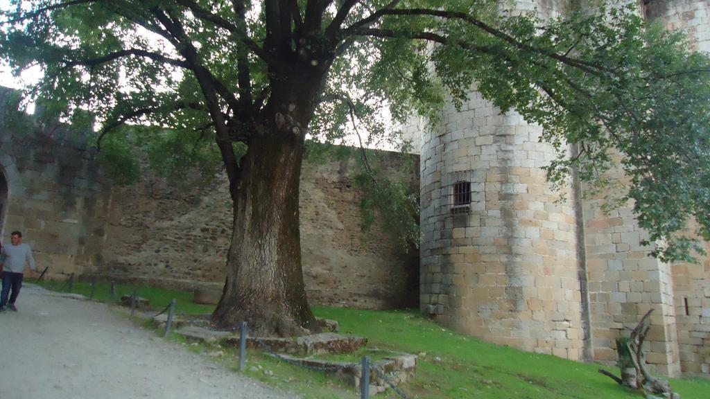 El Caminante