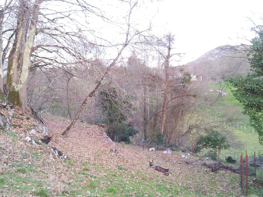 Casa rural Casa Cecilia *