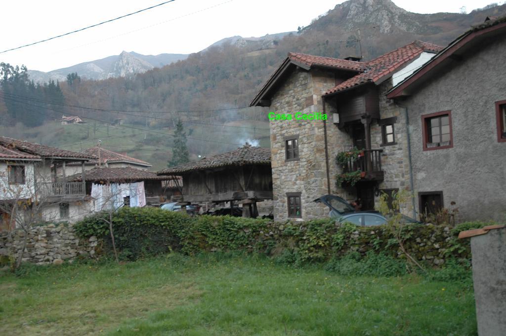 Casa Cecilia La Villa