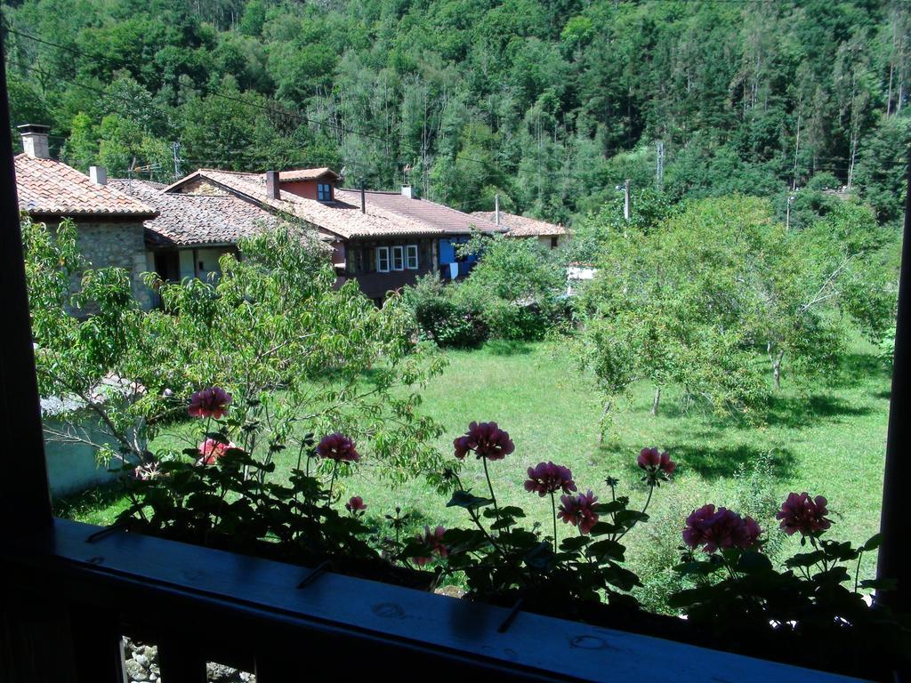 Casa rural Casa Cecilia *