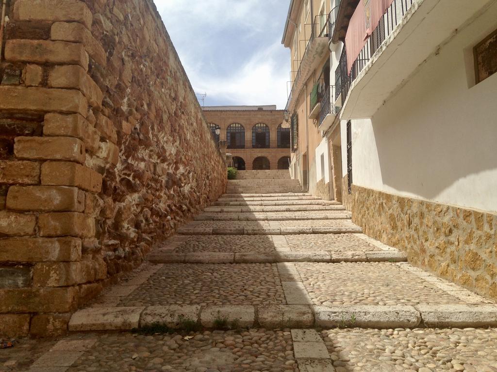 Bracamonte