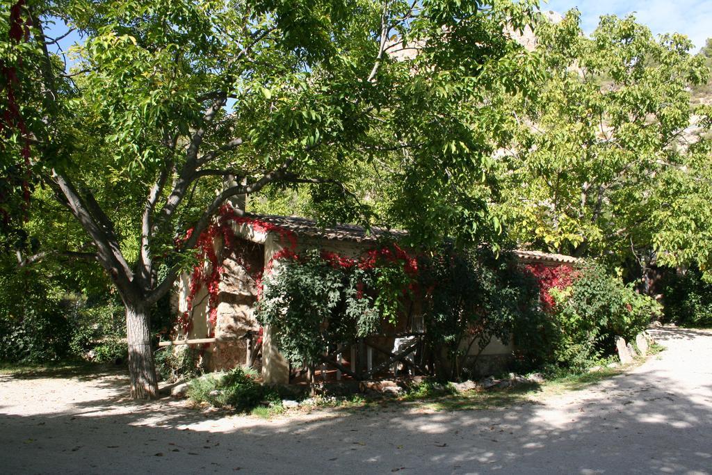 Casa rural Enebros