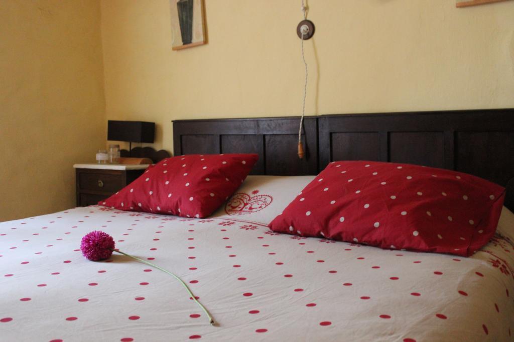 Homestay Casa Coll