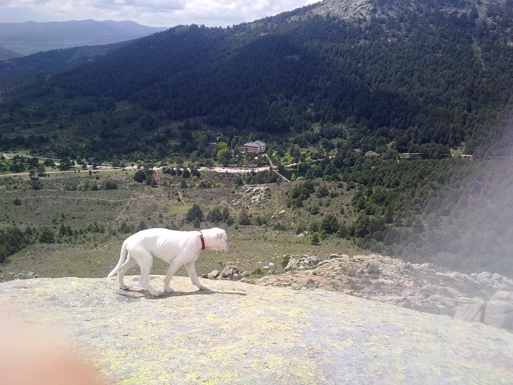 Rural Postas Hotel Navacerrada
