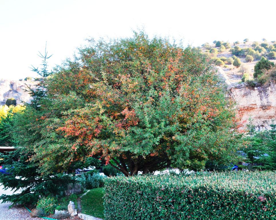 Hotel La Senda De Caracoles - *