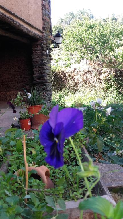 Balcones Del Río