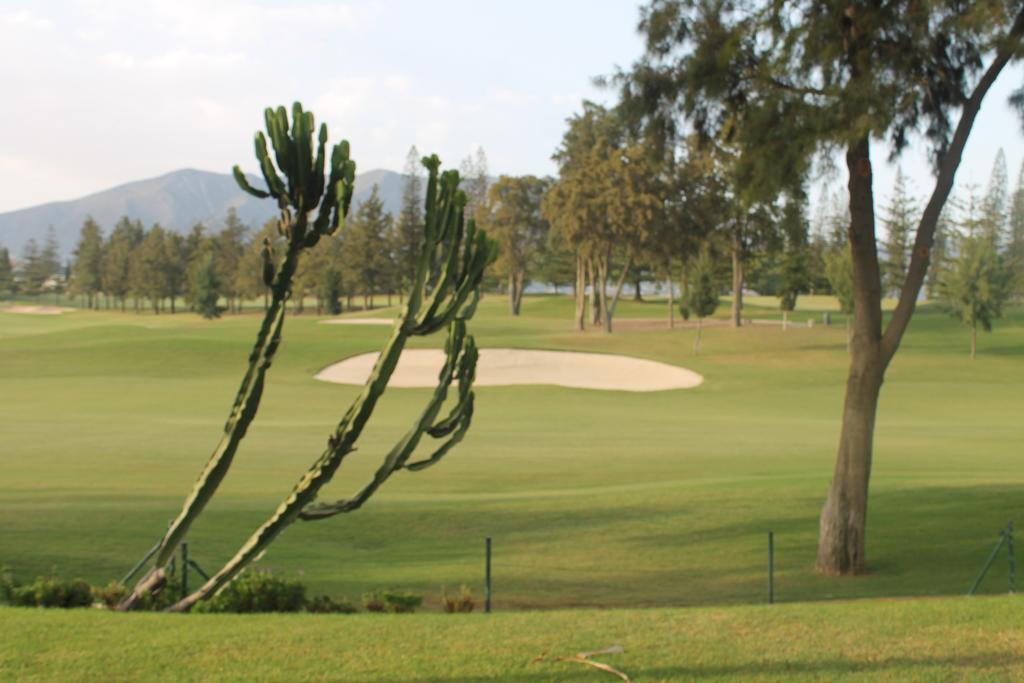Tamisa Golf Hotel Mijas