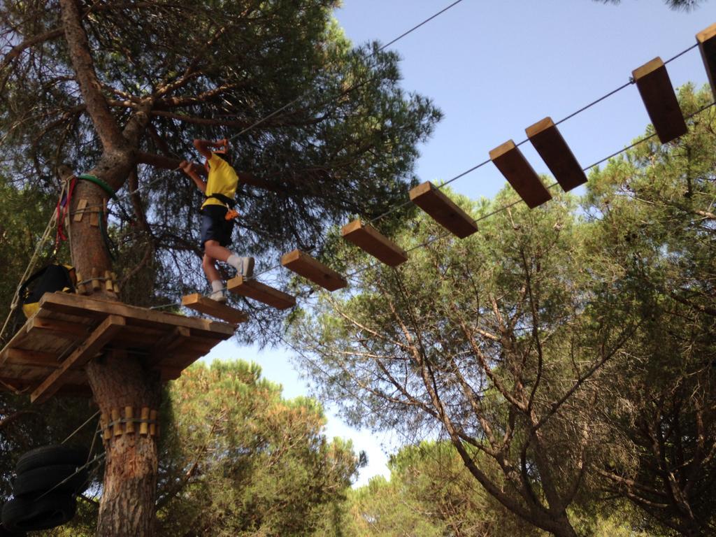 Camping Sierra De Nieves Yunquera