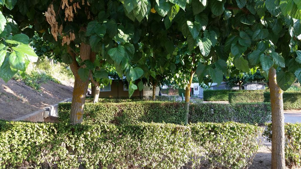 Camping Montsant Park & Ulldemolins