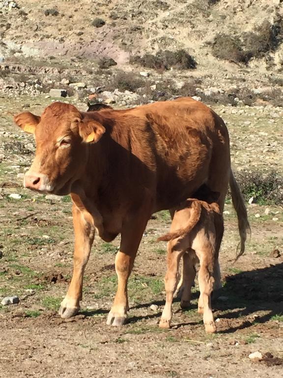 Сasa de vacaciones Casa Tio Conejo San Román de Cameros
