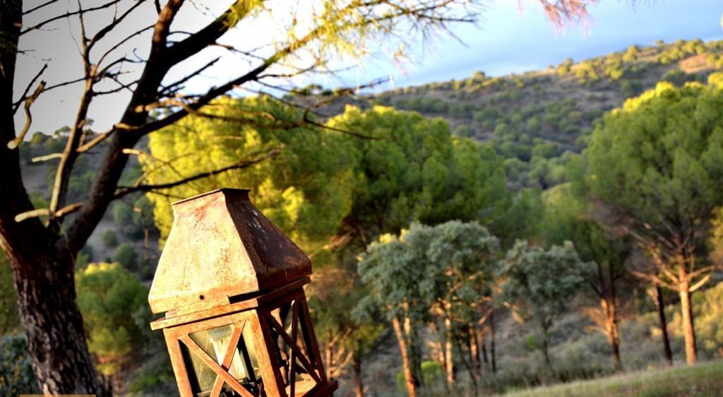 Casa rural Rurales El Grial