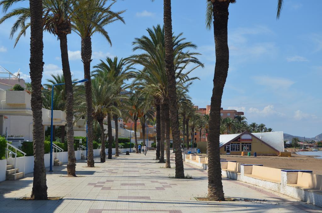 Apartment Verdemar 6708 - Choice *