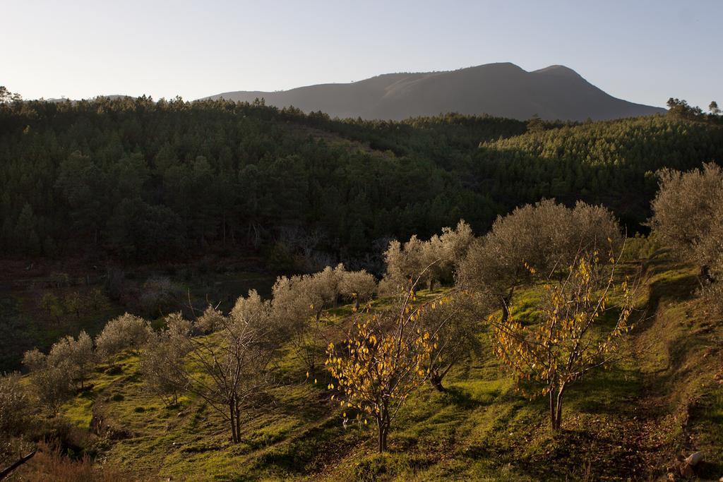 Akassa Bioclimaticos En Hurdes Сasa de vacaciones Pinofranqueado