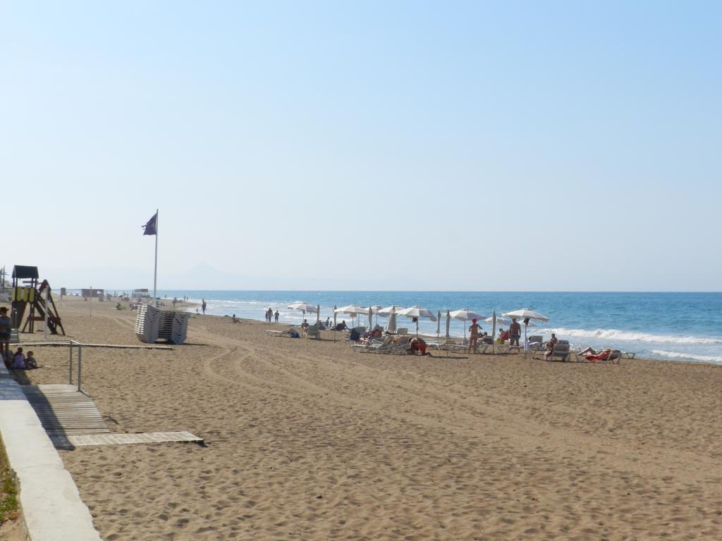 Palm * Dénia