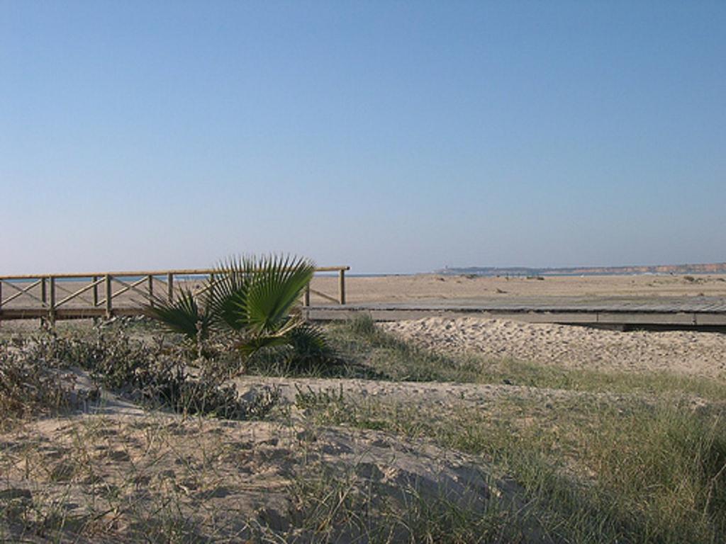 Apartamento Carril De La Fuente Conil De La Frontera