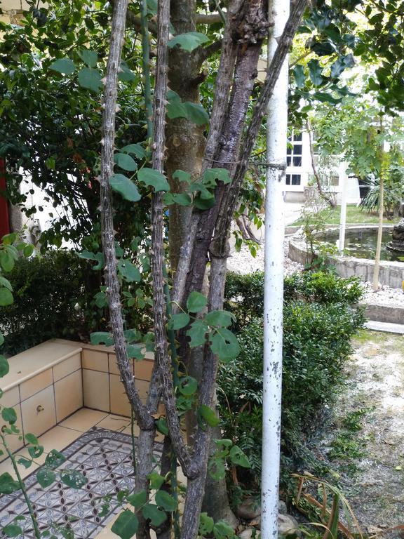 Pension-Albergue Don Alvaro Hostel Sarria