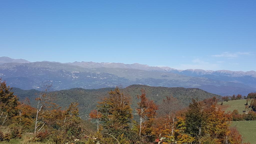 Allotjaments Rurals Punti Farm stay