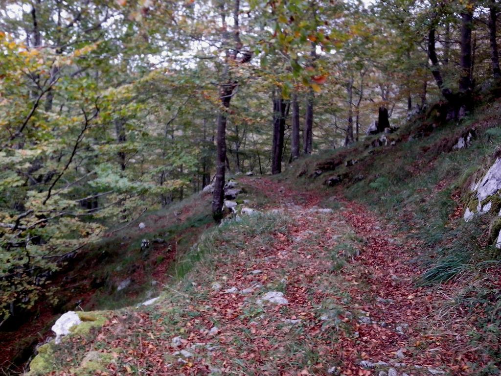 El Cerro Сasa de vacaciones La Concha (San Roque de Riomiera)