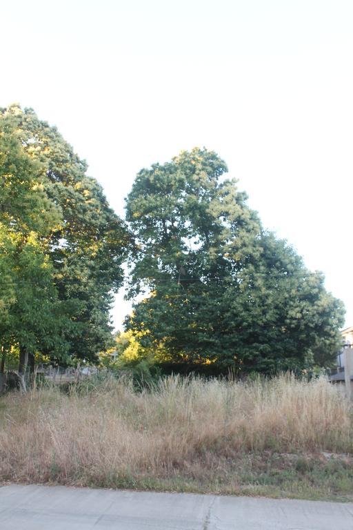 Сasa de vacaciones Casa La Devesa De Sanabria