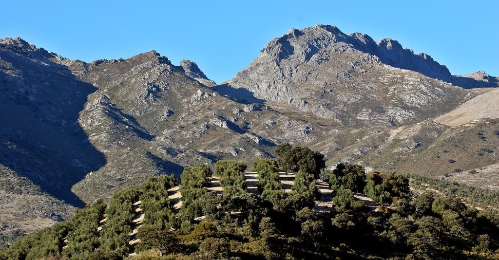 Huerta De Palomas Hotel 4*