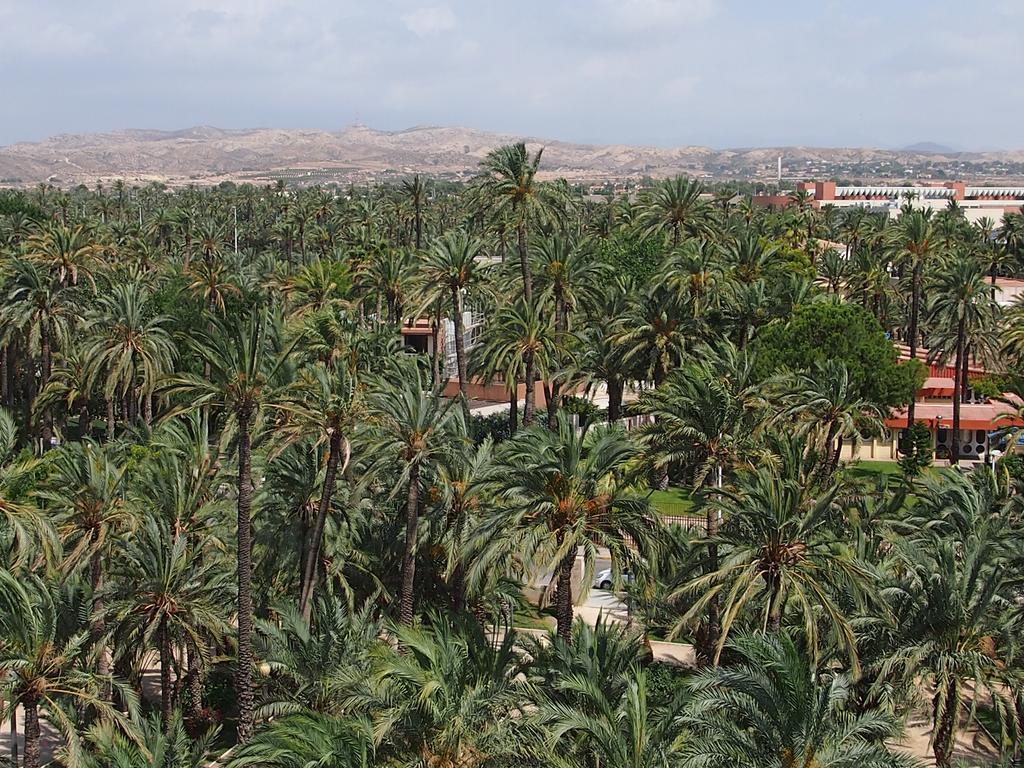 Apartment Piso Centro Maria Aire-Wifi Elche