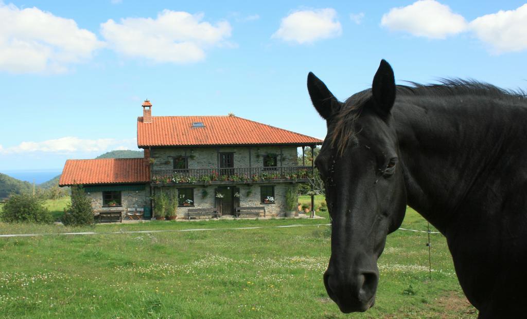 La Campa De Casa rural Faedo