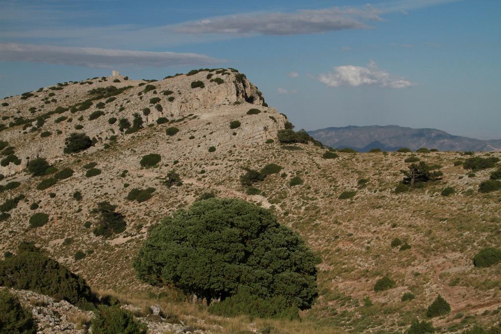 Rurales Cortijo Golondrinas * Alhama de Murcia