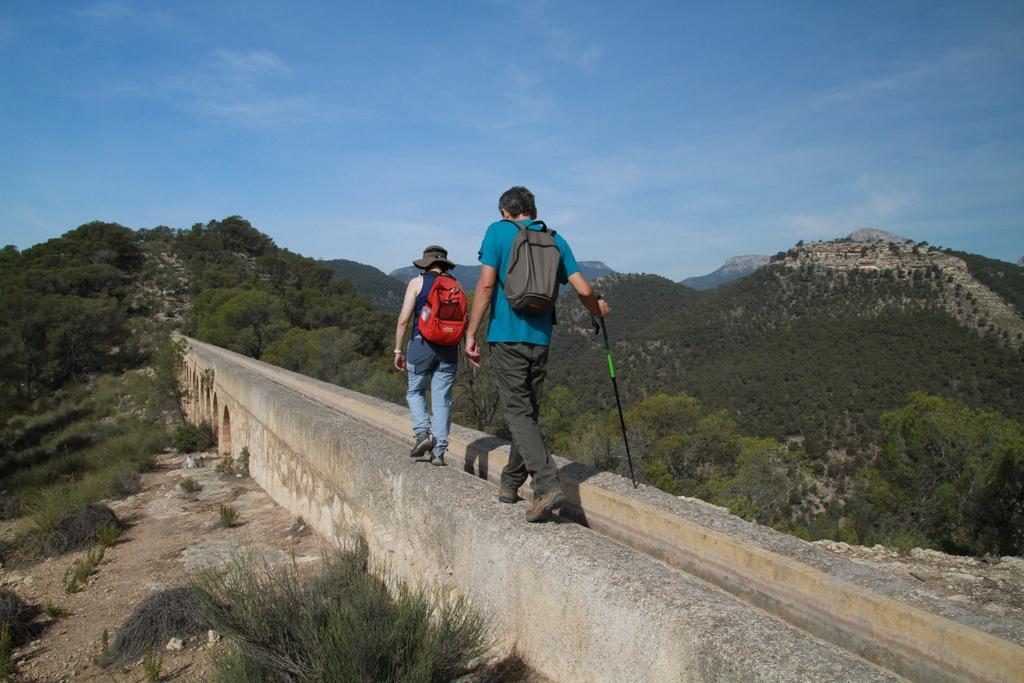 Rurales Cortijo Golondrinas *