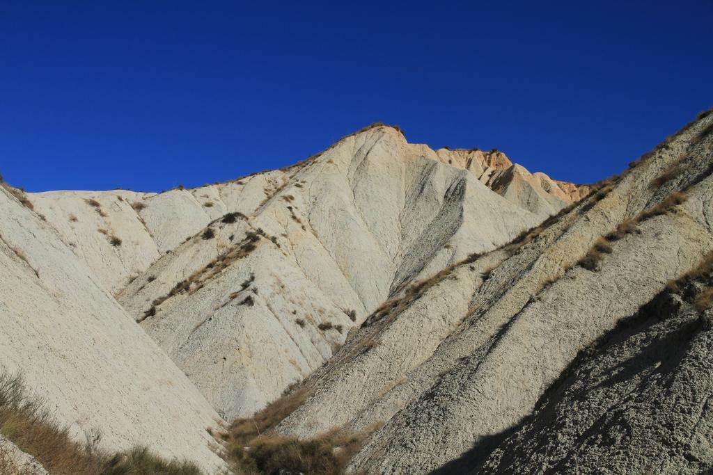 Rurales Cortijo Golondrinas