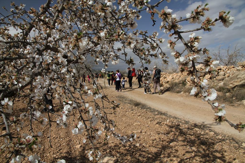 Rurales Cortijo Golondrinas Alhama de Murcia