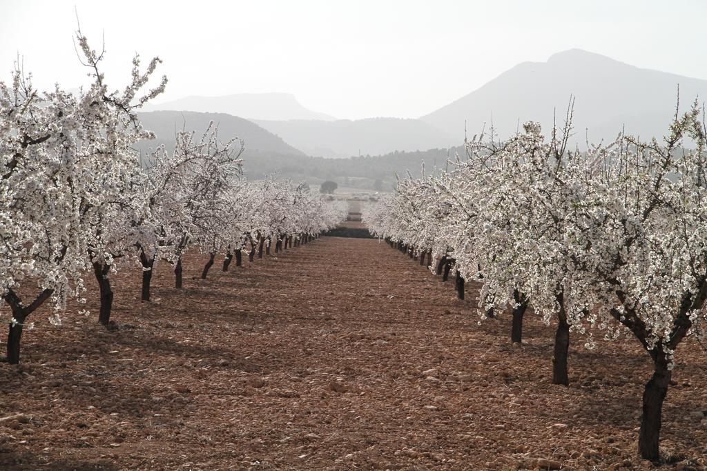Rurales Cortijo Golondrinas Country house Alhama de Murcia