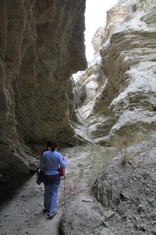 Rurales Cortijo Golondrinas