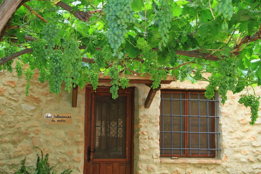Rurales Cortijo Golondrinas *