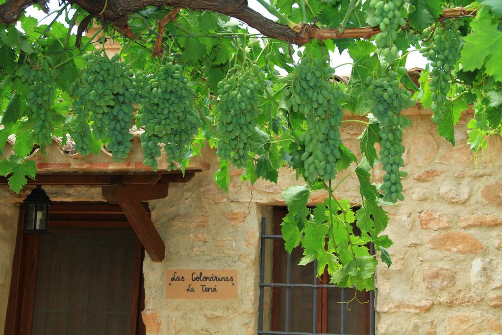 Rurales Cortijo Golondrinas