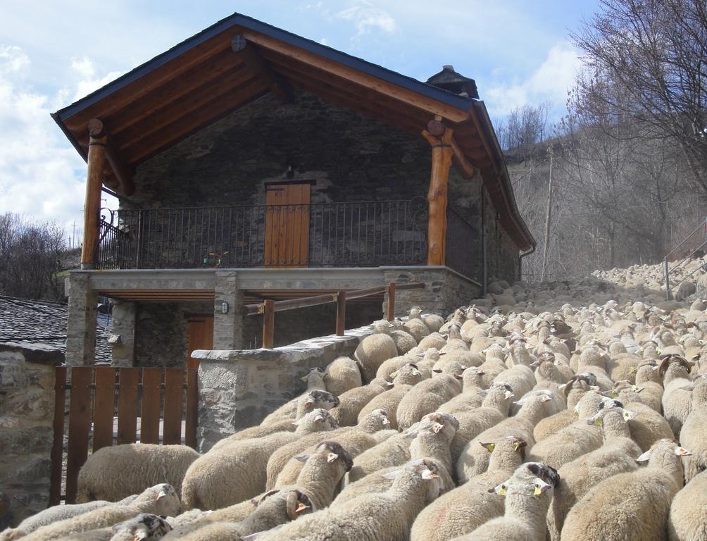La Cabanya De Cal Forn De Serrat Country house