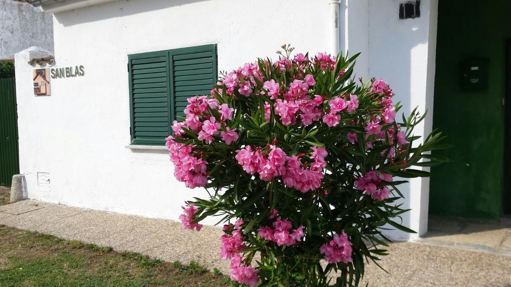 Casa Rural San Blas * Sanjuanejo