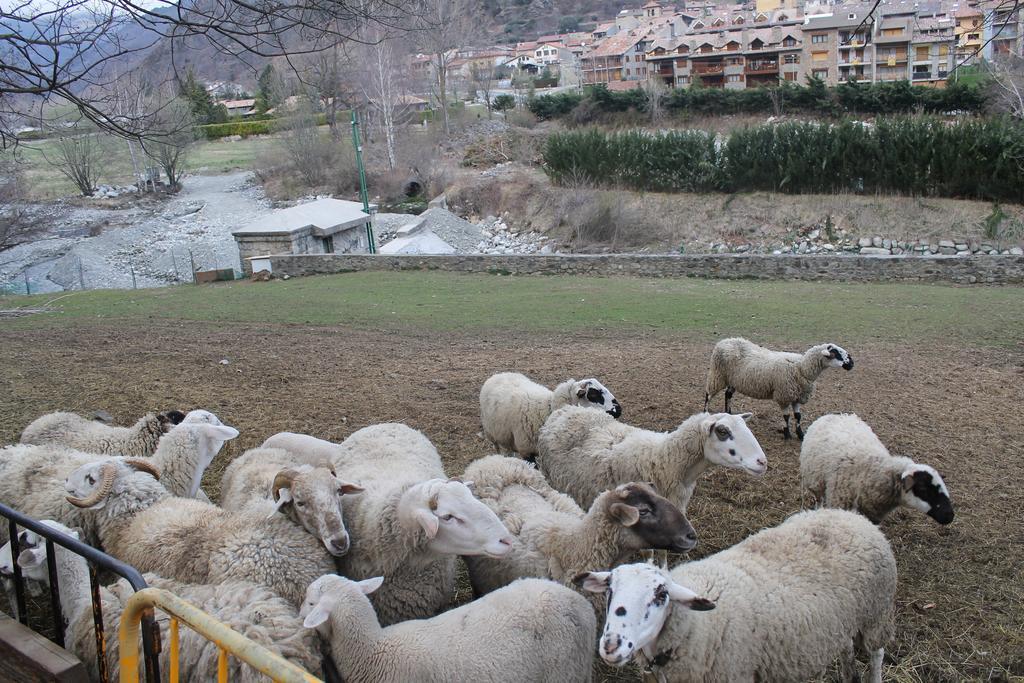 Apartament Torrent De La Barruda * Vilallonga de Ter