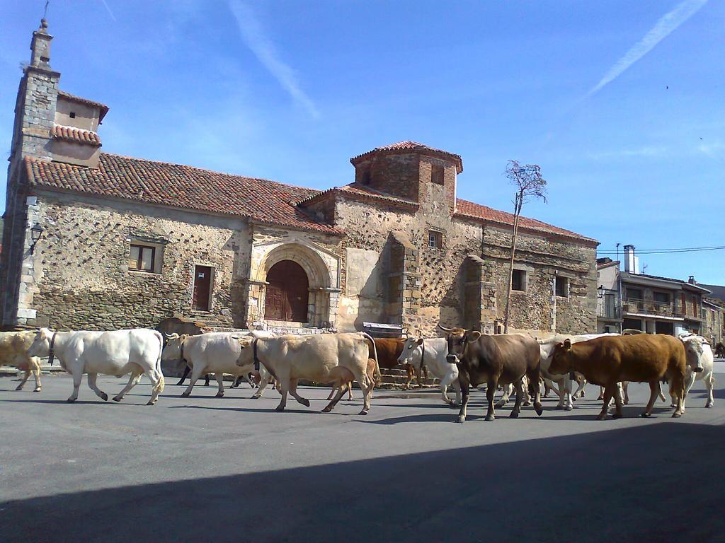 Casa Rural Pajaro Bobo Country house