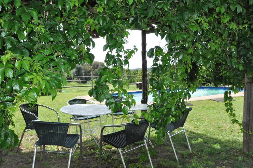 Apartamento Masferrer Riudarenes (Riudarenas)
