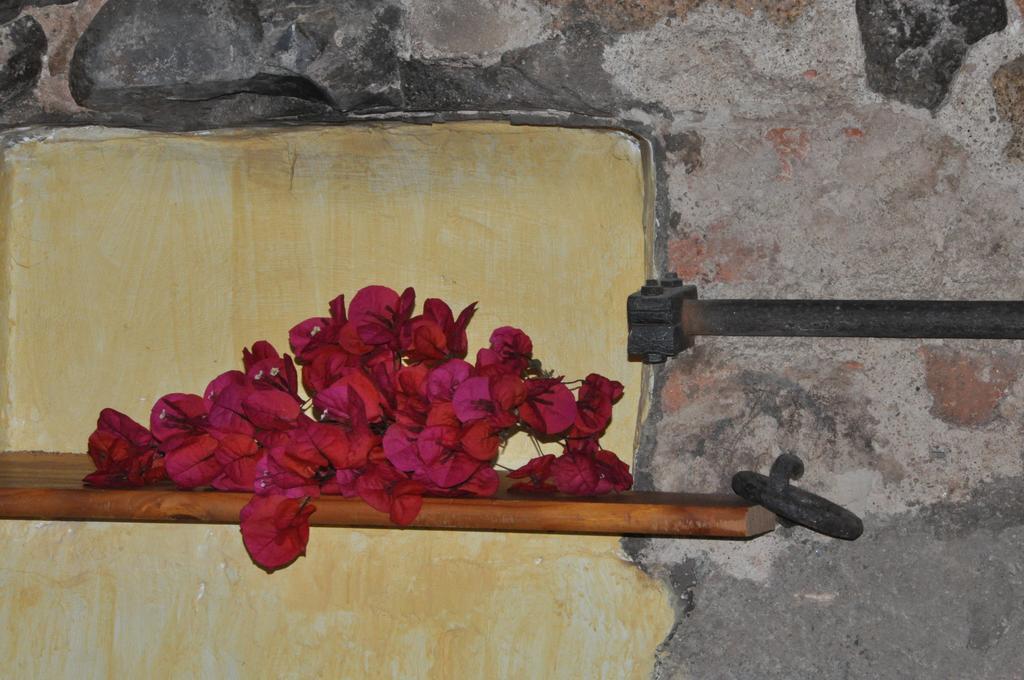Masferrer * Riudarenes (Riudarenas)
