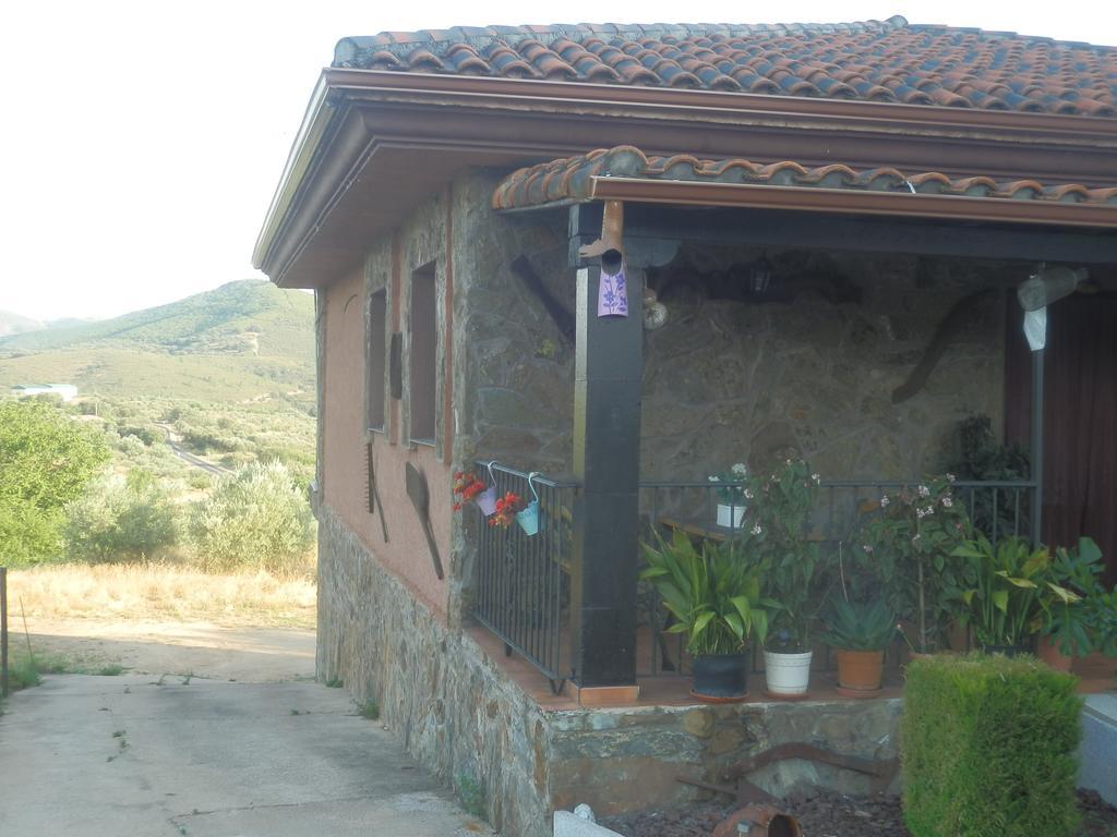 Olivos Сasa de vacaciones