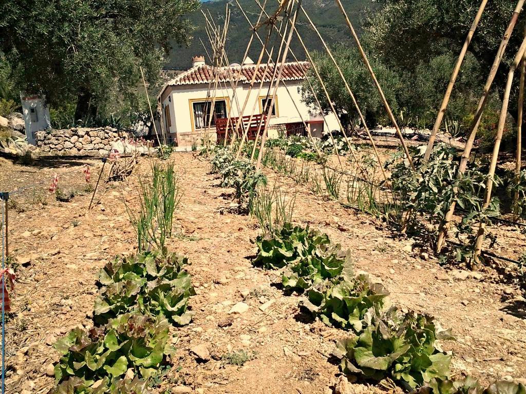 Casa La Barraca * Alcaucin