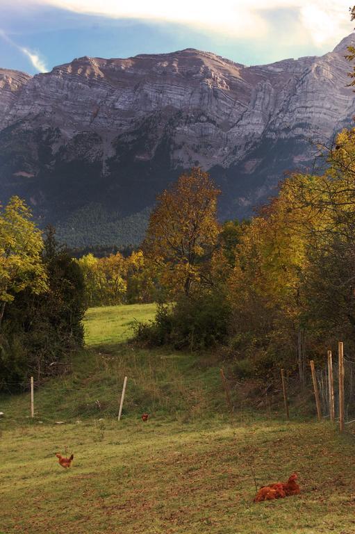 Chalet Casa Rural Al Prineu *
