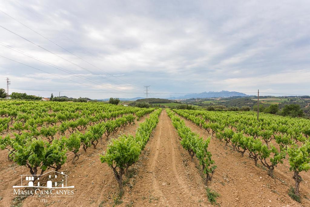 Country house Masia Canyes & San Lorenzo de Hortons